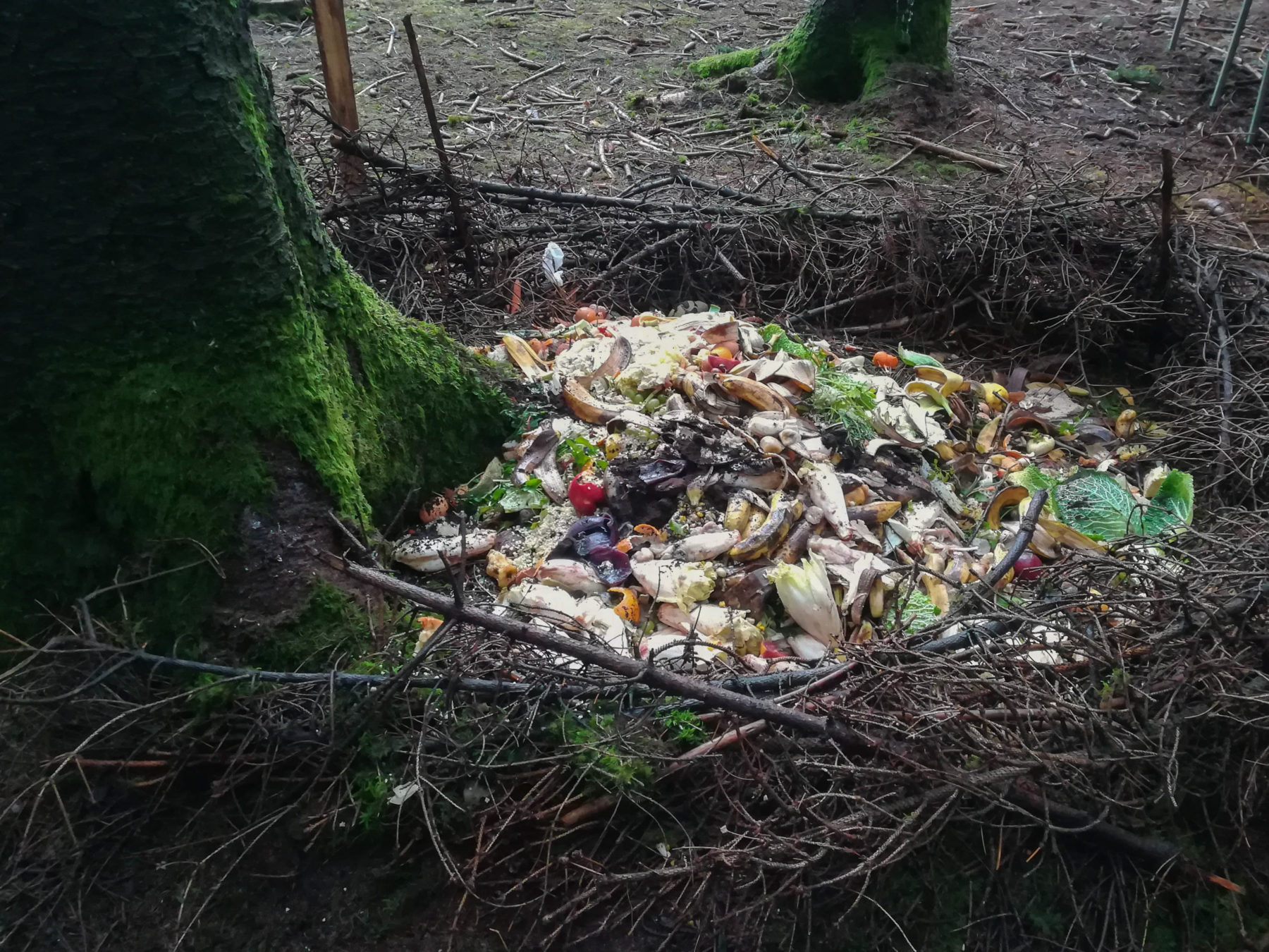 Respectueux de l'environnement, les zadistes ont fait un compost