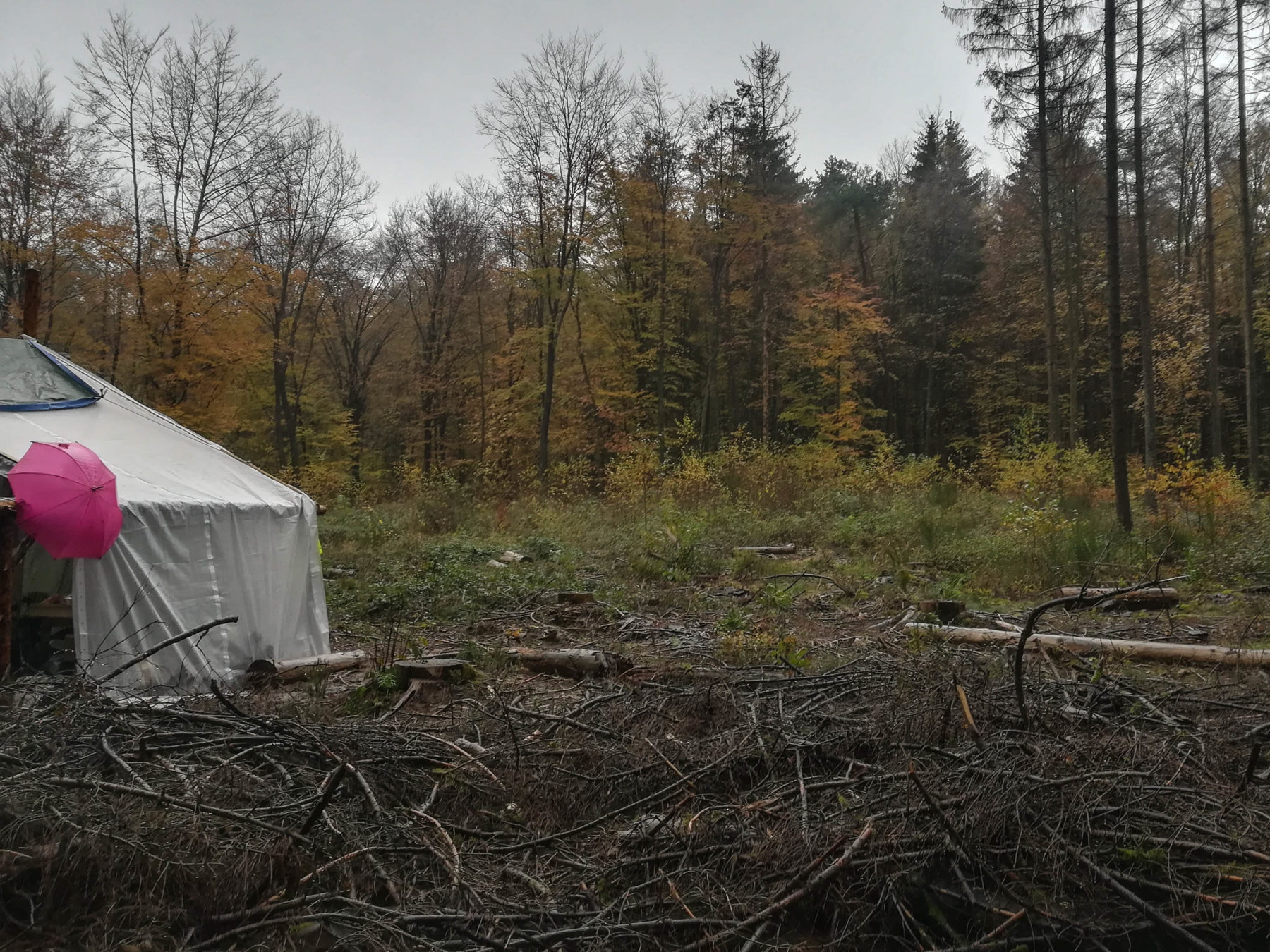 Tente blanche au milieu de la nature sous la grisaille du mois de novembre