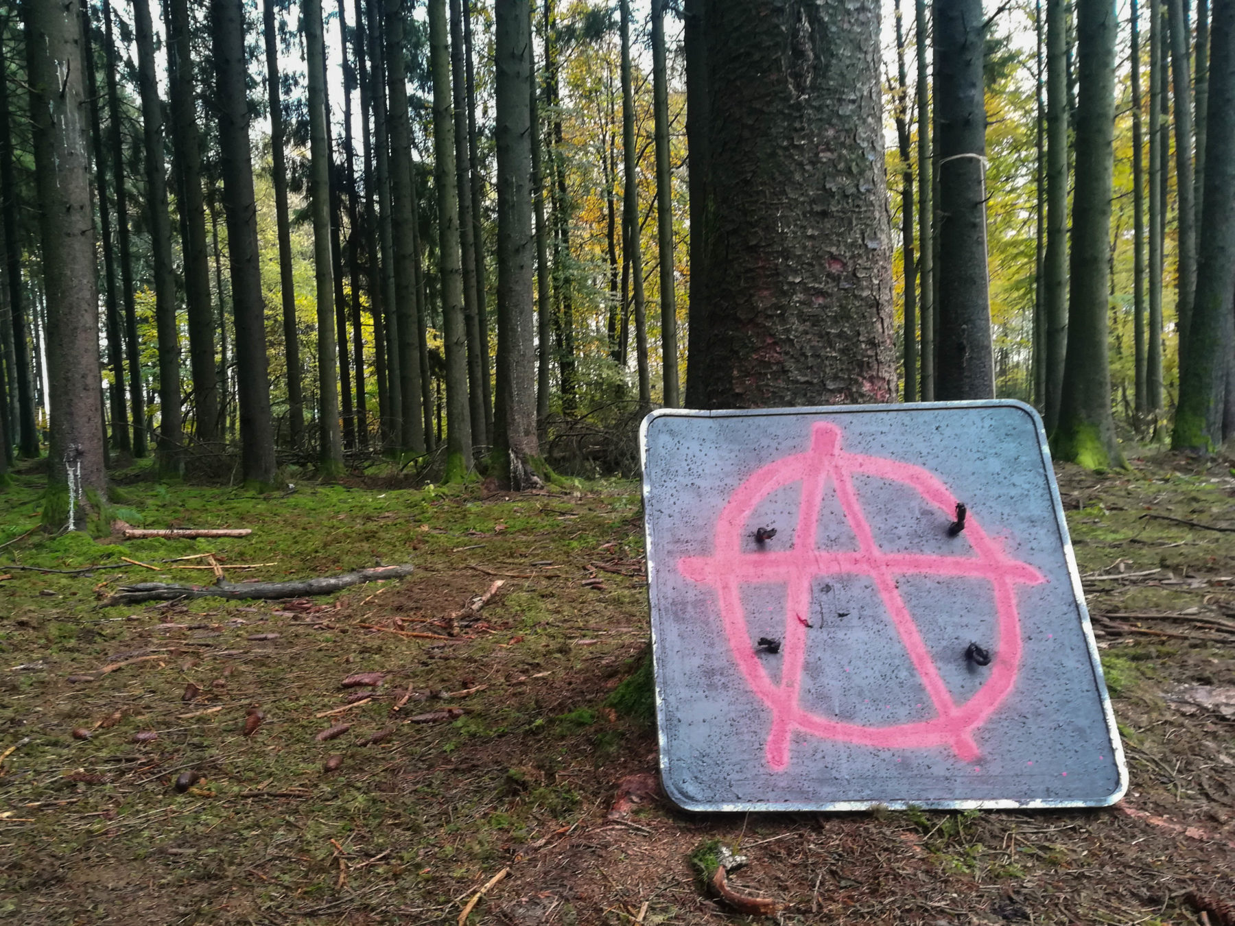 Le A de Anarchie trône fièrement au milieu des arbres.
