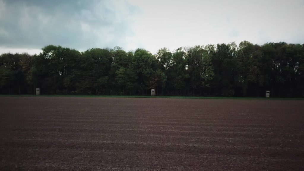 Miradors de chasse situés en bord de zone boisée.