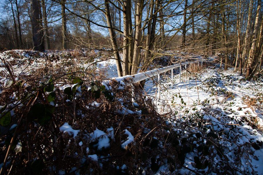 Barrière de l'hippodrome dans la Forêt de Soignes