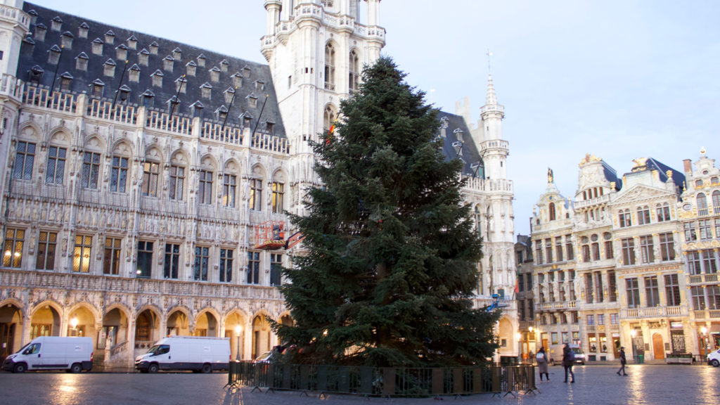 Le sapin trônant sur la Grand-Place de Bruxelles