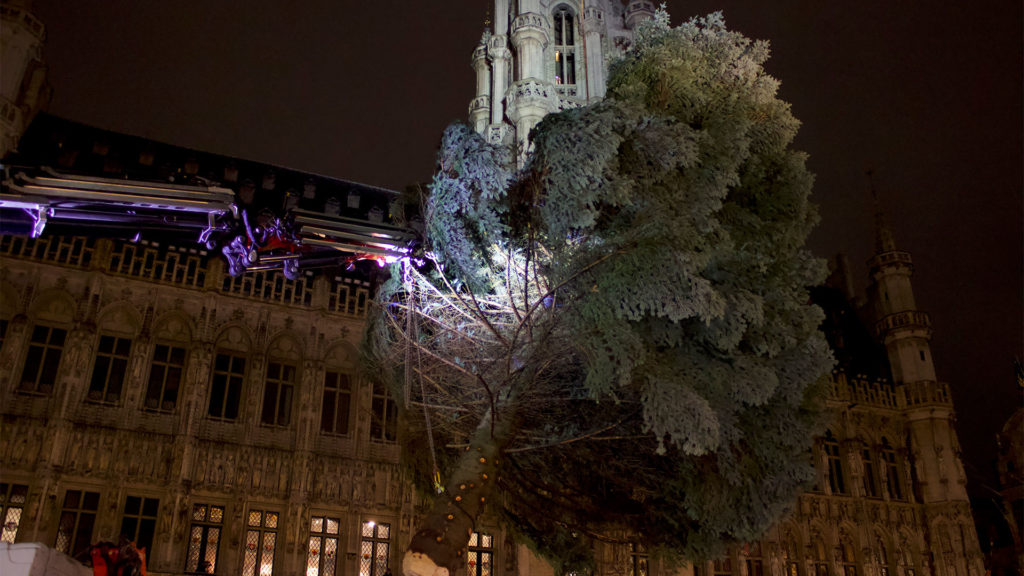 Le sapin est soulevé avant d'être placé dans son socle, il est dans les air