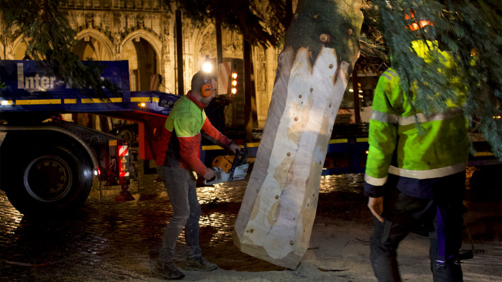 Un bûcheron tronçonne le tronc d'un sapin et un autre supervise