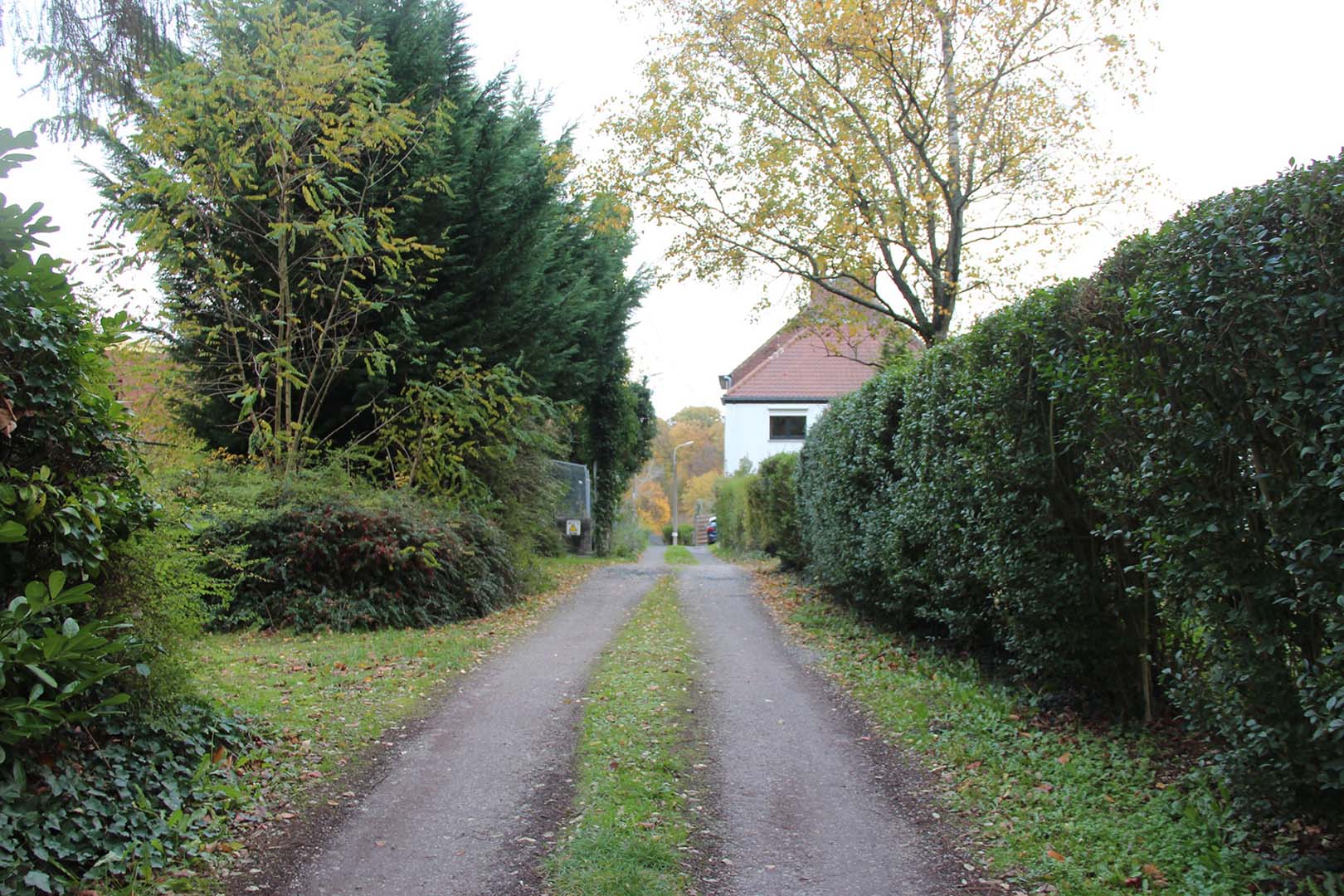 Chemin en terre qui longe l'ancien campus