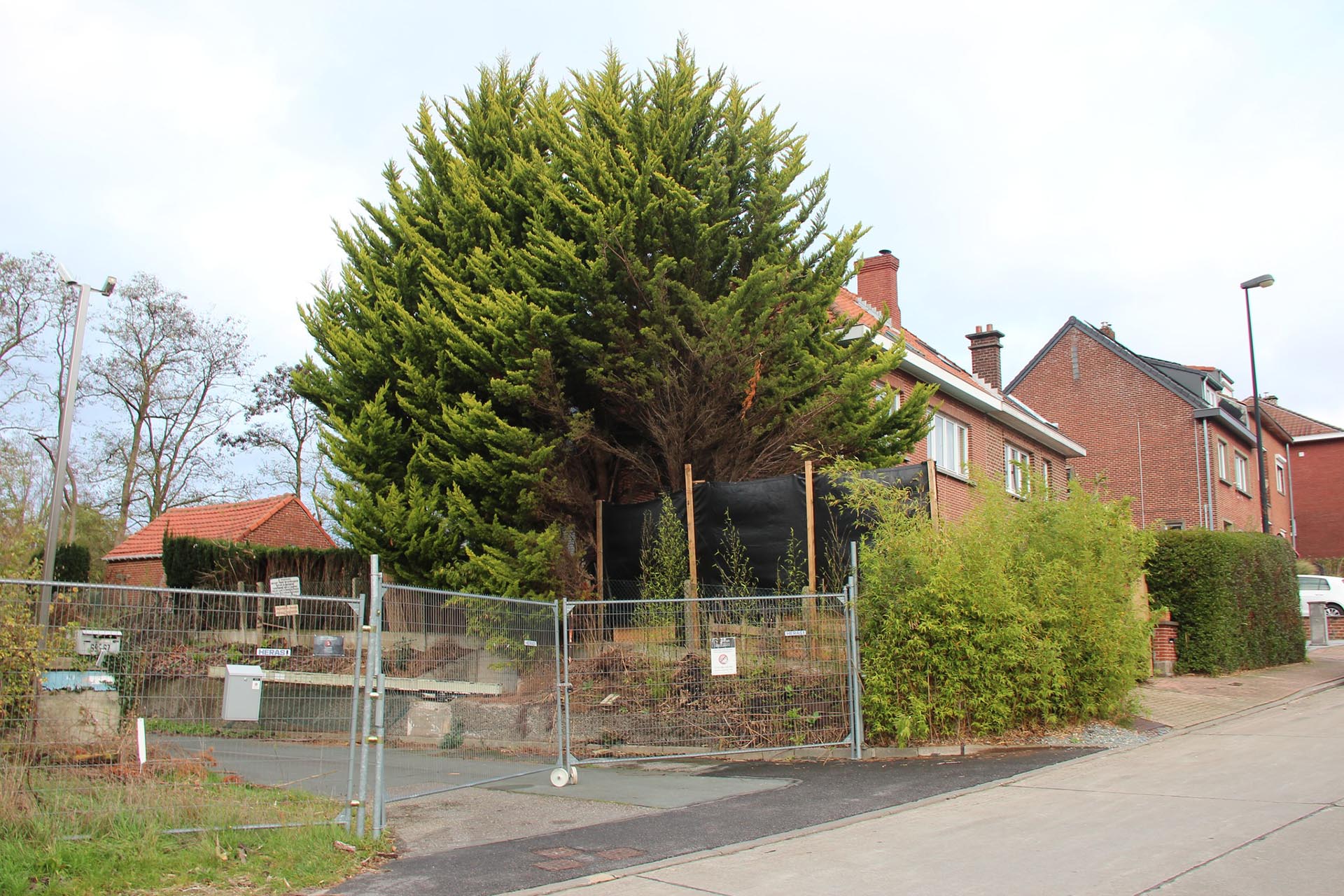 Grilles du campus du Bierenberg, maisons mitoyennes au campus