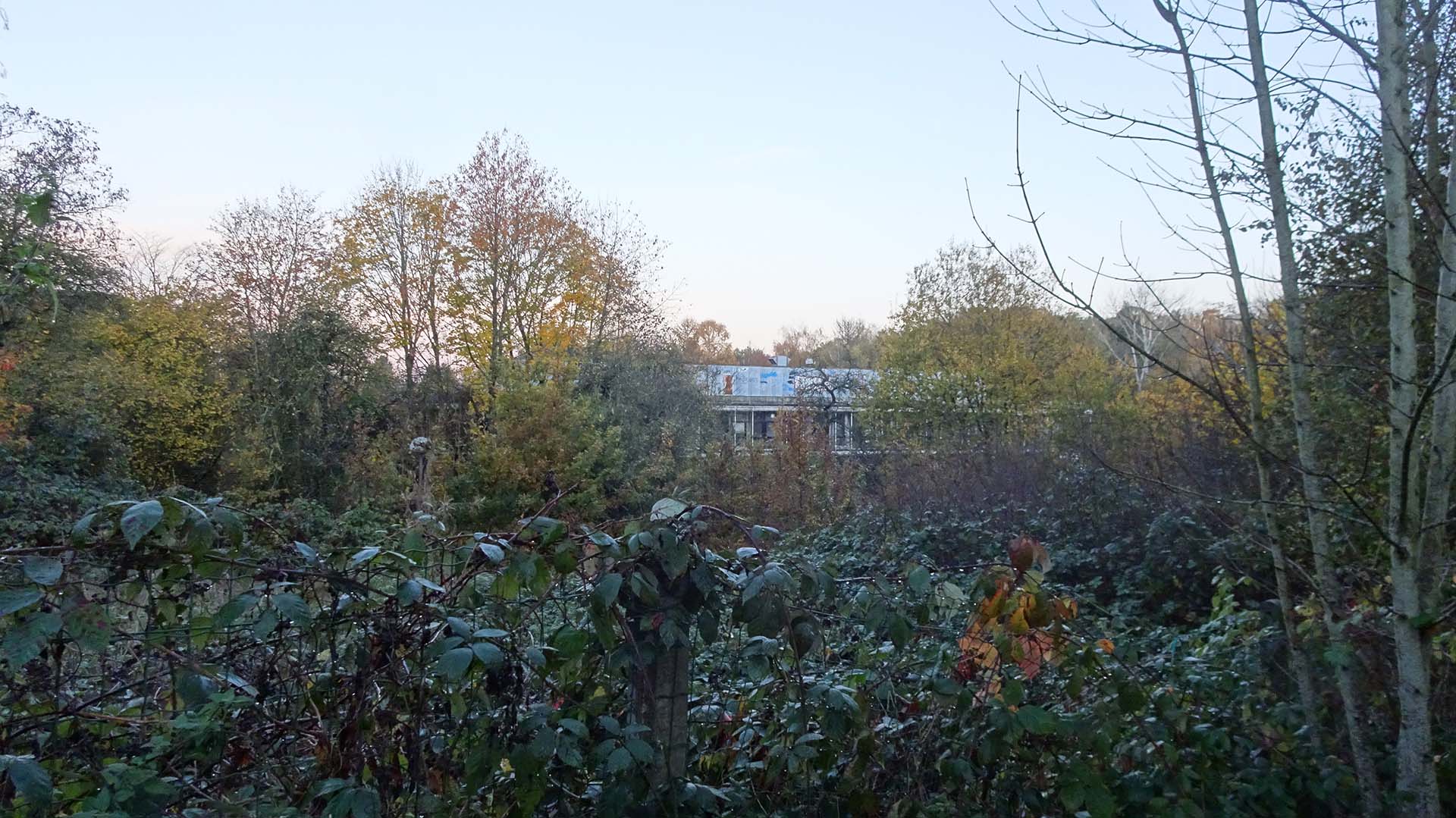 Bâtiment abandonné ensevelis sous les plantes et recouvert de tags