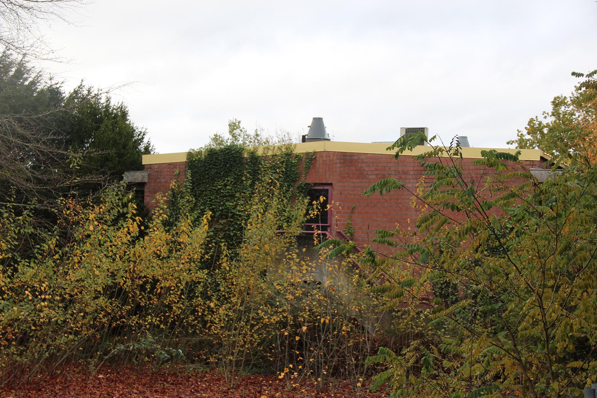 Bâtiment abandonné et englouti par les plantes