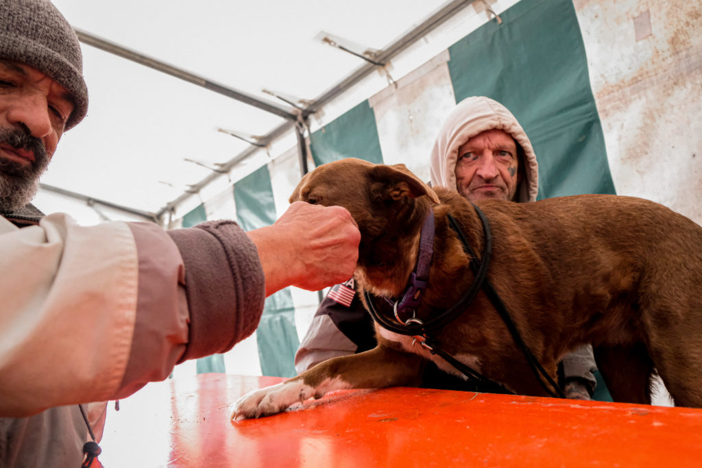 Le maître (Yves) autorise Eric à caresser son chien 