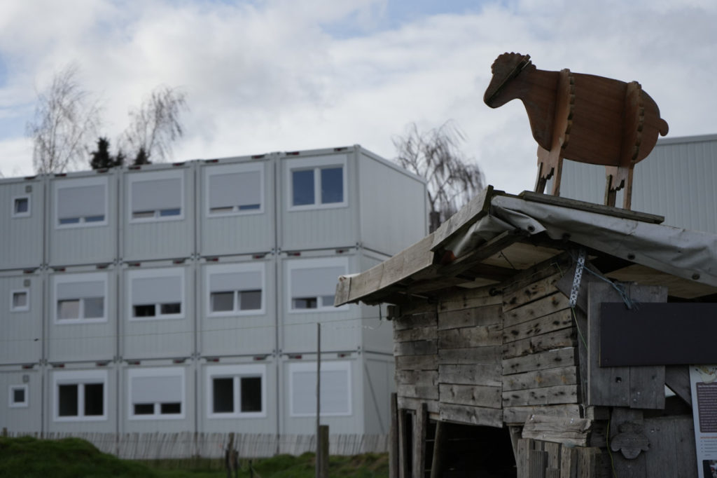 Enclos des brebis devant des tours de containers blancs